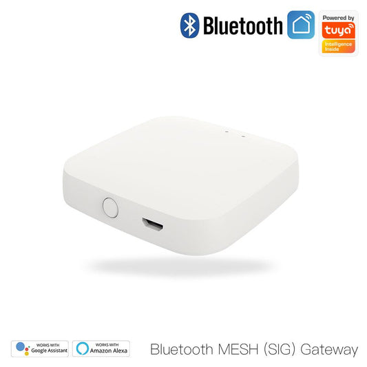 Bluetooth mesh (SIG) Gateway - Moes