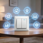 How to Set Up MOES Matter Smart Switches with Apple, Google, Alexa & SmartThings