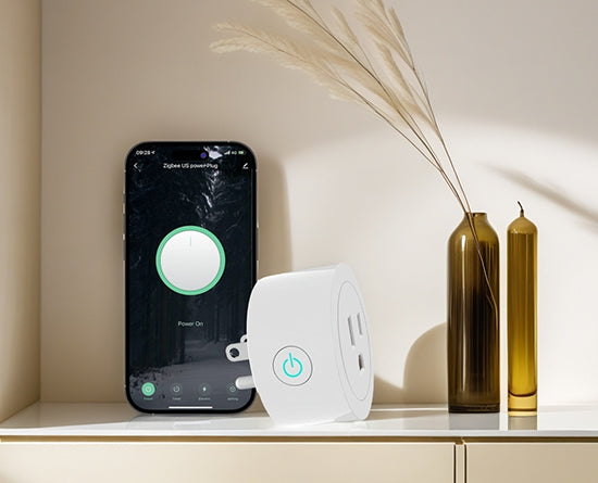 Smart Sockets for a Smarter Home