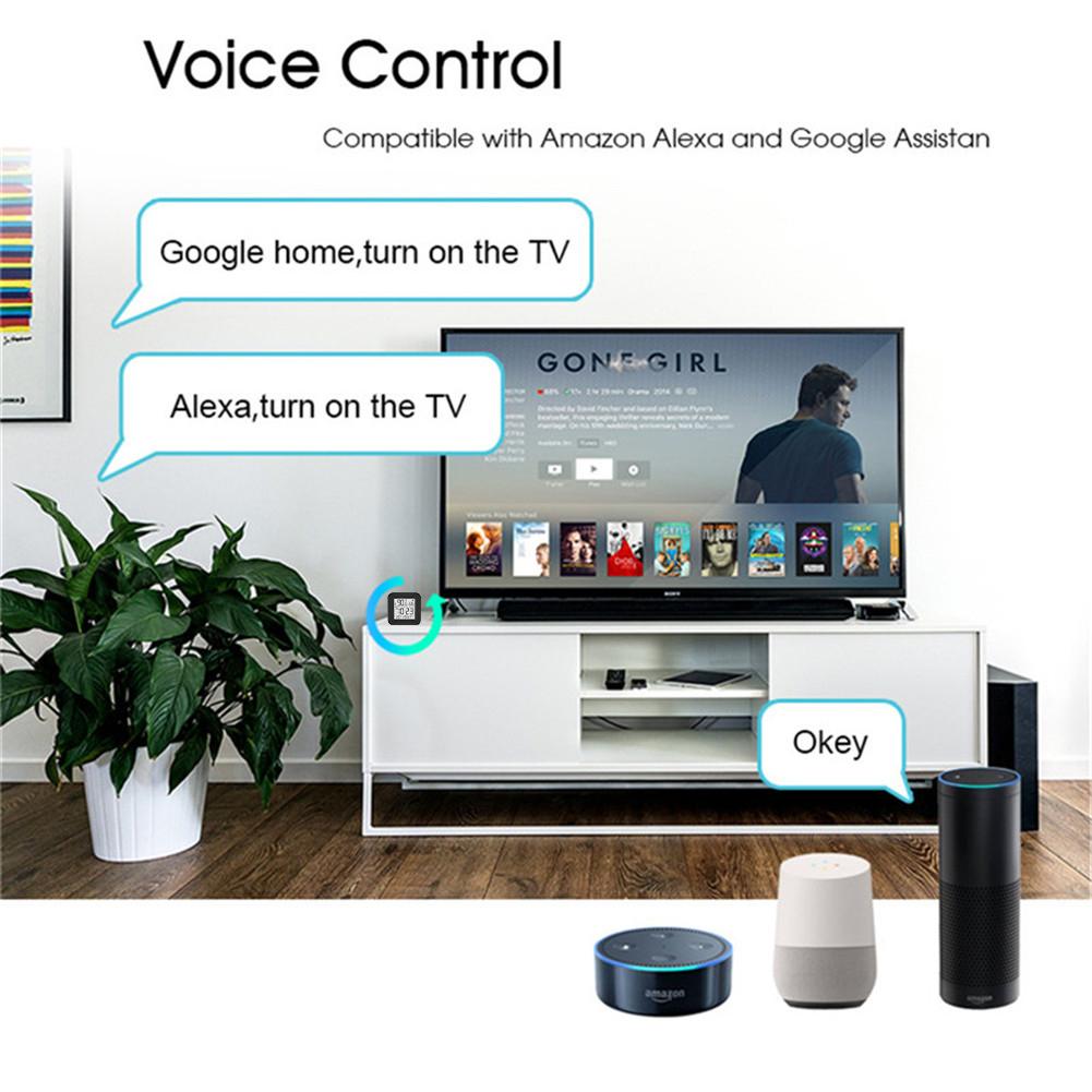 Compatible with Amazon Alexa and Google Assistan - Moes