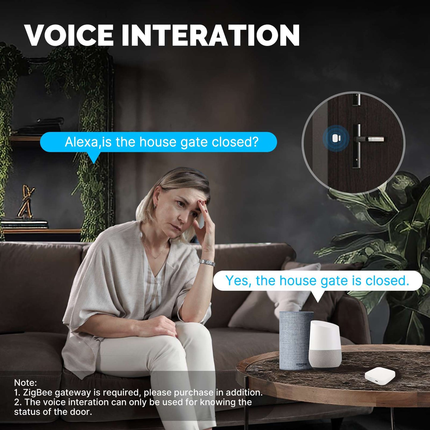 voice interation - MOES
